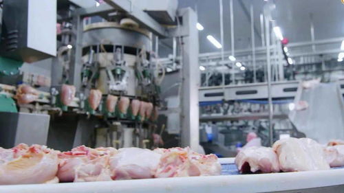 江西圣農 深延產業鏈，鍛造肉制品加工行業新龍頭